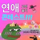 스텔 이미지
