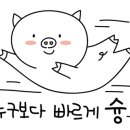 처갓집양념치킨두정1점 네이버블로그