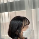 로하 살롱