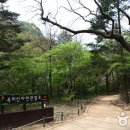 속리산 관광특구 네이버블로그