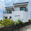 월정 땅콩집 이미지