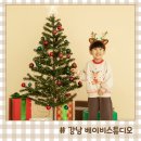 페퍼민트 | 강남 베이비스튜디오 페퍼민트 5세 주니어촬영 후기