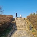 해미상가2 이미지