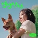 댕댕냥냥 이미지