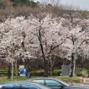 덕수린