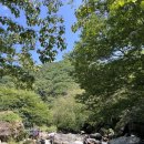 사나사슈퍼 | [혜로로] 여름의 양평, 계곡과 수국