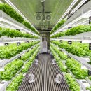 스마트팜 이미지