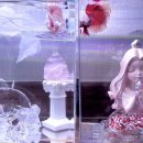 영롱한 어항만들기 🫧_디히멜 제품 후기🐠내돈내산