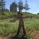 메밀꽃체육관 이미지