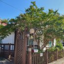 개미촌펜션 이미지