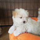 송산2길 이미지