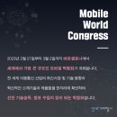 세기국제여행사 이미지