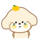 윤남희 맛집코다리 이미지