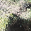 거제갈곶 이미지