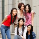 베이비복스 카카오 검색결과