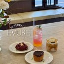 세븐일레븐 광주하늘마당점 | 광주 동명동 카페 동명동에서 찾은 힐링공간 에브르인테라스 음료와 디저트 잡은 곳!