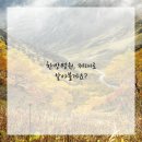 편안한방병원 이미지