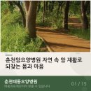 강원재활병원춘천점 | 춘천암요양병원 자연 속 암 재활로 되찾는 몸과 마음