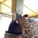 어가촌(화덕생선) 이미지