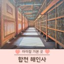 국가유산청 여권 합천 해인사 스탬프 위치 팔만대장경 방문 후기