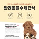 반려동물 수제간식 이미지