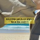 씨월드 피시 | 워홀9: 브리즈번에서 골드코스트 당일치기 ! 서퍼스파라다이스비치/피시앤칩스맛집/하버타운프리미엄아울렛