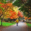 서울남부주간보호센터 이미지