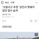 당진에서 유해조수 구제 중 엽총사고로 사망 이미지