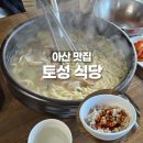 토성식당 | [아산 맛집] 아산 토성식당 내돈내산 후기