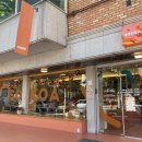 소코아(SOKOA) 이미지