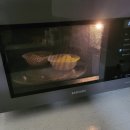 7388 | 삼성 비스포크 큐커 오븐형 에어프라이어 MC32B7388 두달 사용 후기