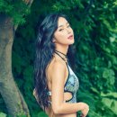 제스헤어