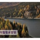 장안로16번길 | <성남 요양원 추천> 더힐링요양원 편안한 환경과 세심한 돌봄 제공