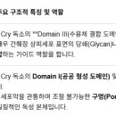 흰다리새우의 조기폐사증후군 (AHPND)의 원인균 Vibrio parahemolyticus의 PirAB독소 이미지