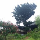 가천면 마을회관 Daum카페