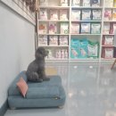 닥터장 동물의료센터 이미지