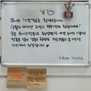 상방로L | 울산 북구 속눈썹펌 잘하는곳 꼼꼼한 맞춤 상담 뮤니크