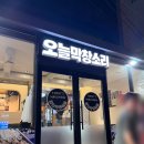 제주도집 | 제주도 고기집 오늘막창소리 내돈내산 후기, 삼겹살부터 가브리살까지