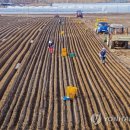 성관농장 이미지