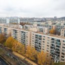 강남-현장-강남-000720 이미지