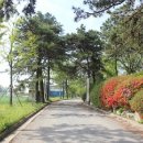 태용목장 이미지