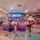 YoYo Land 네이버블로그