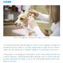 하스펫탈동물병원 이미지