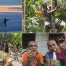 원시의 생명이 살아있는 남태평양의 섬나라 파푸아뉴기니로 떠난 세계테마기행 (EBS,2/11~2/14, 8시50분) 이미지
