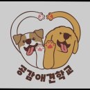 공감애견학교 이미지