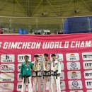국제태권도연맹대한민국협회거창중앙도장 - 5248 | [ITF태권도] 김천 월드 태권도 원챔피언십 대회 후기