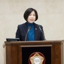 데일리의원 이미지