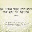 맛보아 - 제주시 | 맛보아