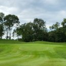 골프드래곤 이미지