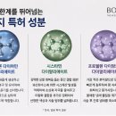 본플렉스